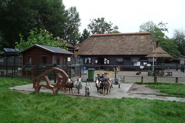 Kinderboerderij De Dierenhof Sluit Vanaf Morgen Ook Voor 2 Weken ...